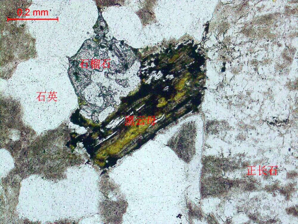 蚀变正长花岗岩