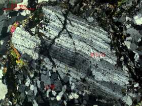 碎裂岩化弱蚀变二长花岗岩