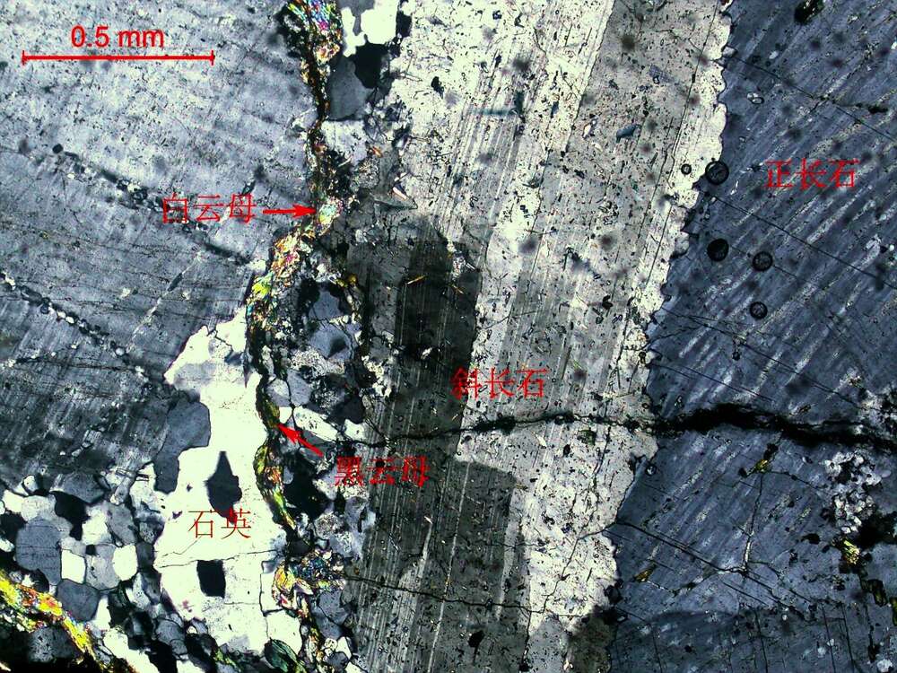 碎裂岩化弱蚀变二长花岗岩