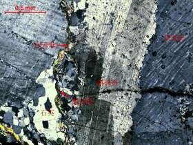 碎裂岩化弱蚀变二长花岗岩