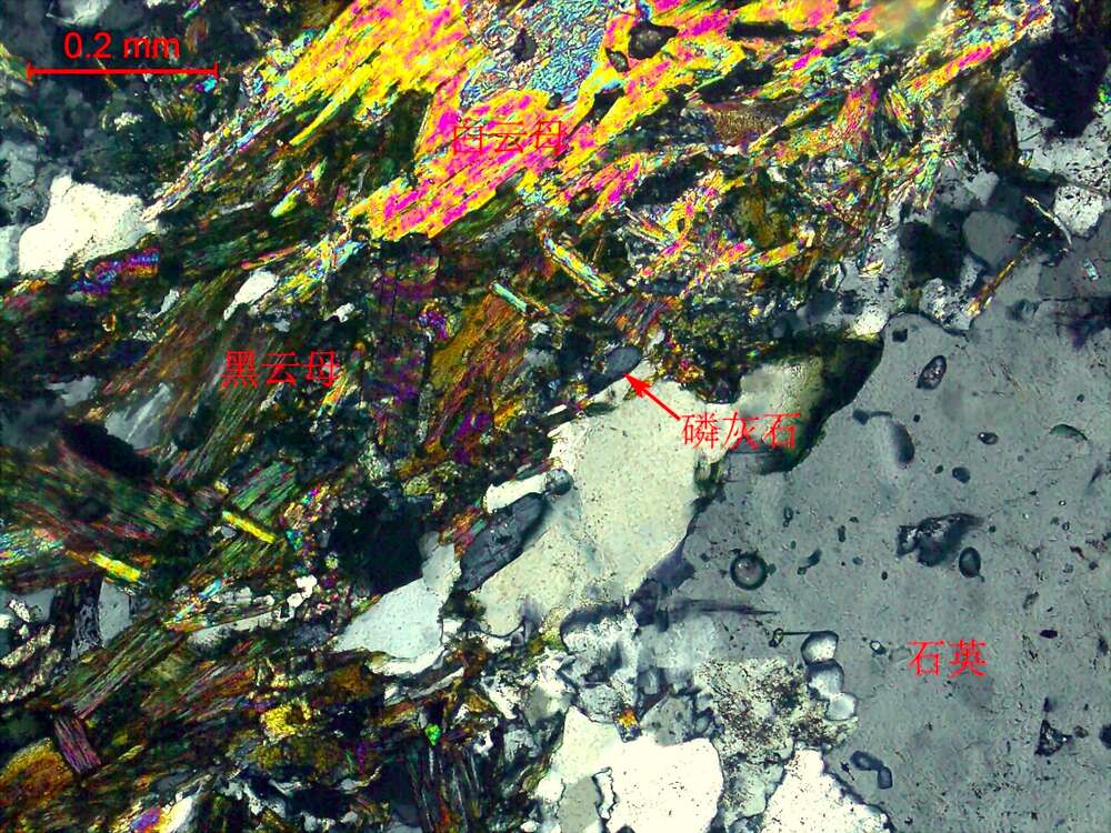 碎裂岩化弱蚀变黑云二长花岗岩