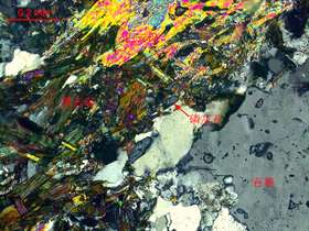 碎裂岩化弱蚀变黑云二长花岗岩