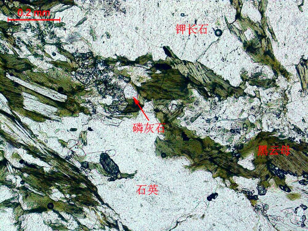 碎裂岩化弱蚀变黑云二长花岗岩