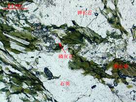 碎裂岩化弱蚀变黑云二长花岗岩