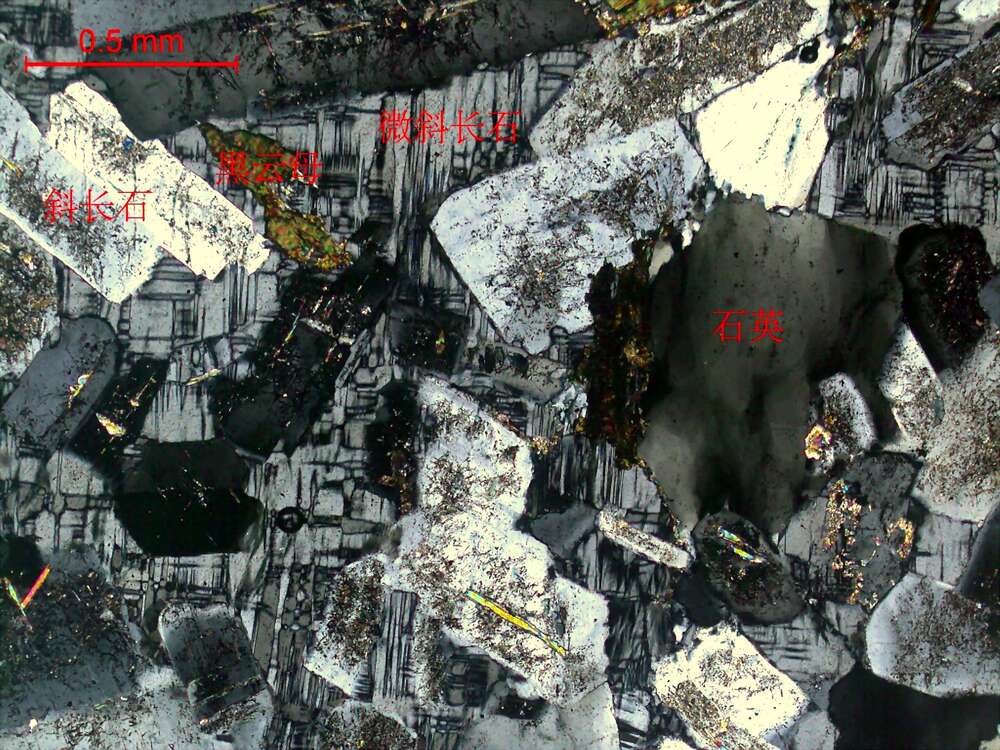 弱蚀变花岗闪长岩