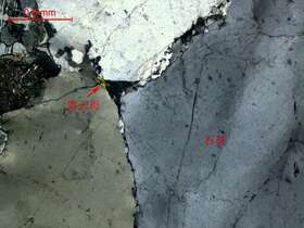 弱蚀变花岗闪长岩