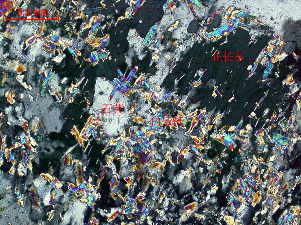 蚀变花岗闪长岩