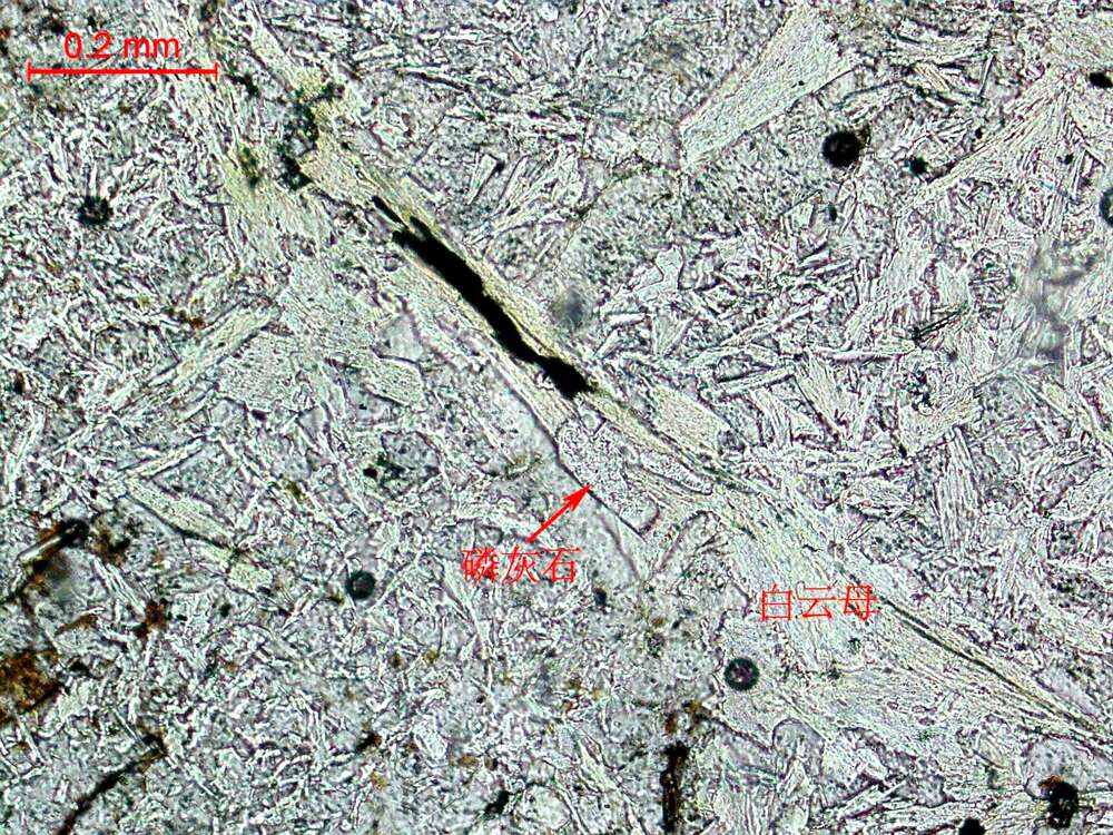 蚀变花岗闪长岩