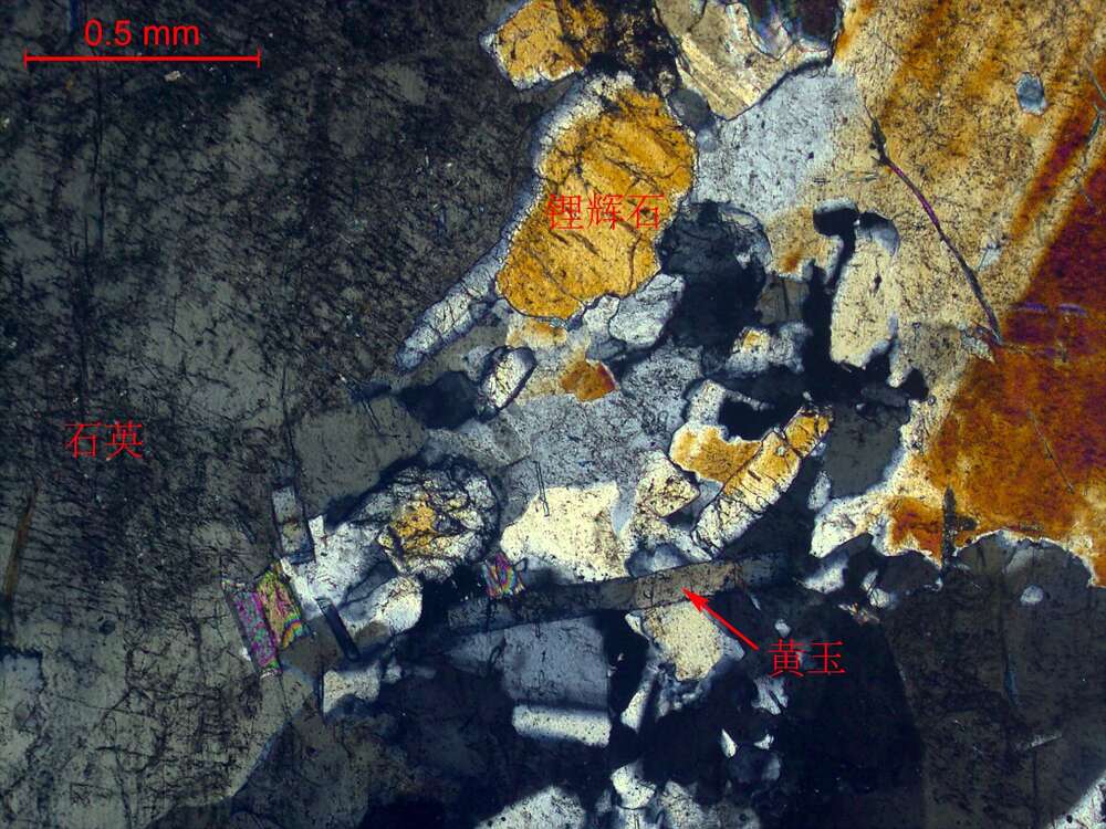 含锂辉石英云闪长岩