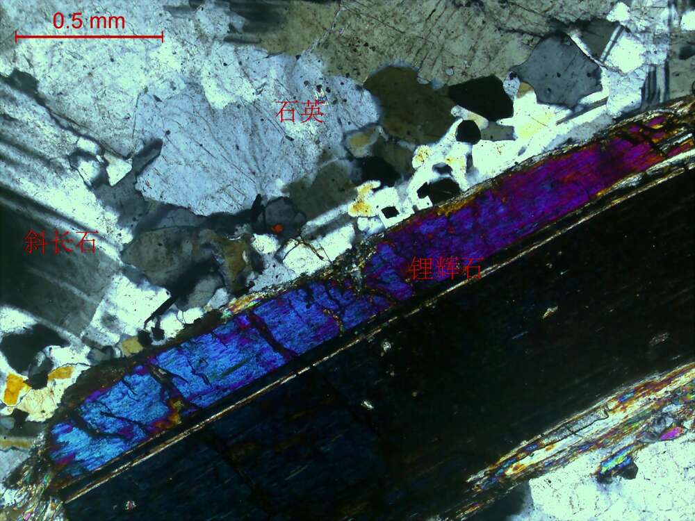 锂辉石英云闪长岩