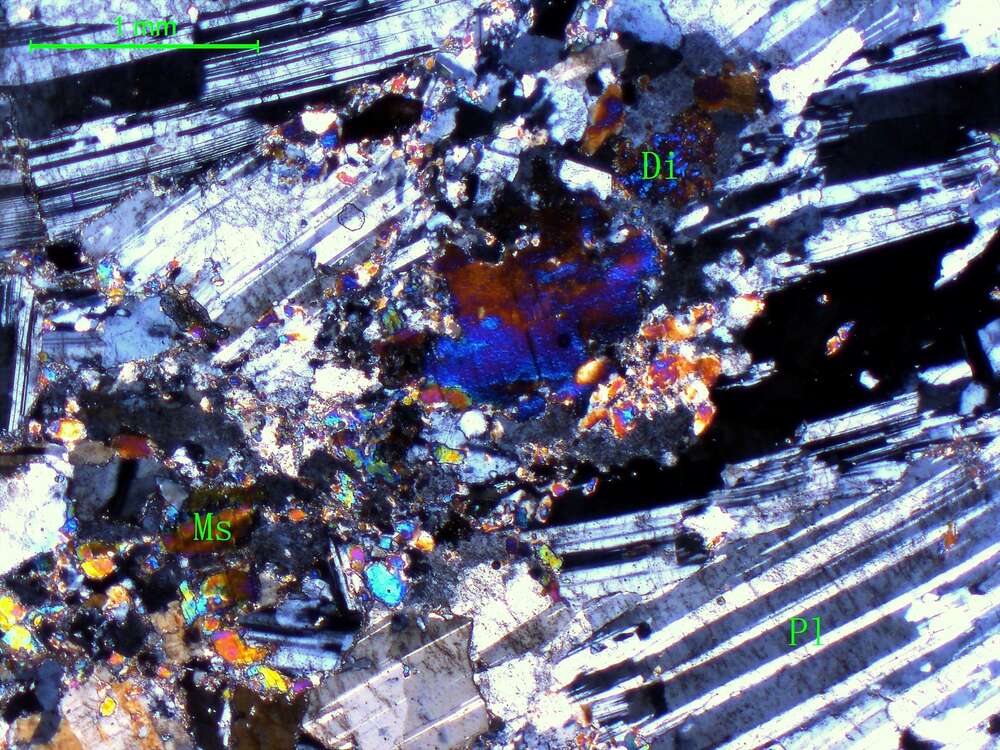 含红柱石斜长片麻岩
