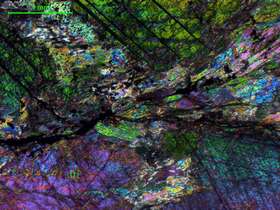 白云母化矿化透辉石岩