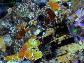 含绿柱石锂云母斜长花岗伟晶岩