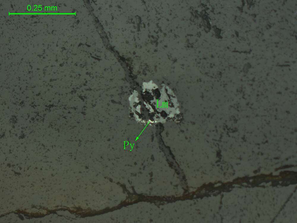 褐铁矿化黄铁矿