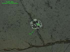 褐铁矿化黄铁矿