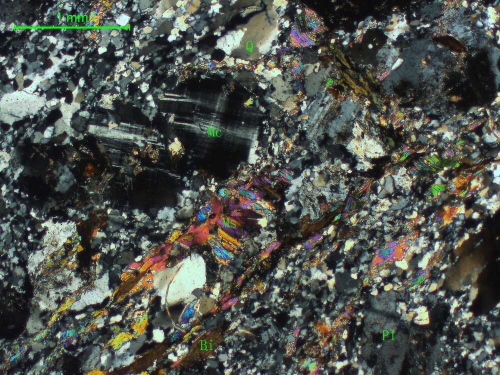 片理化花岗闪长斑岩   