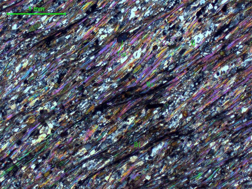 含电气石二云母石英片岩