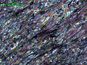 含电气石二云母石英片岩