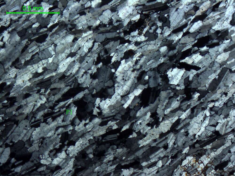 黑云母斜长片岩    