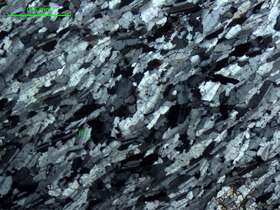 黑云母斜长片岩    