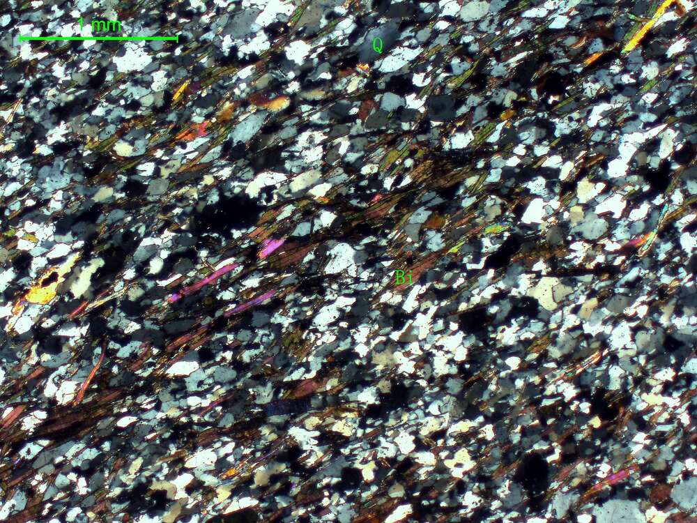 黑云母石英片岩