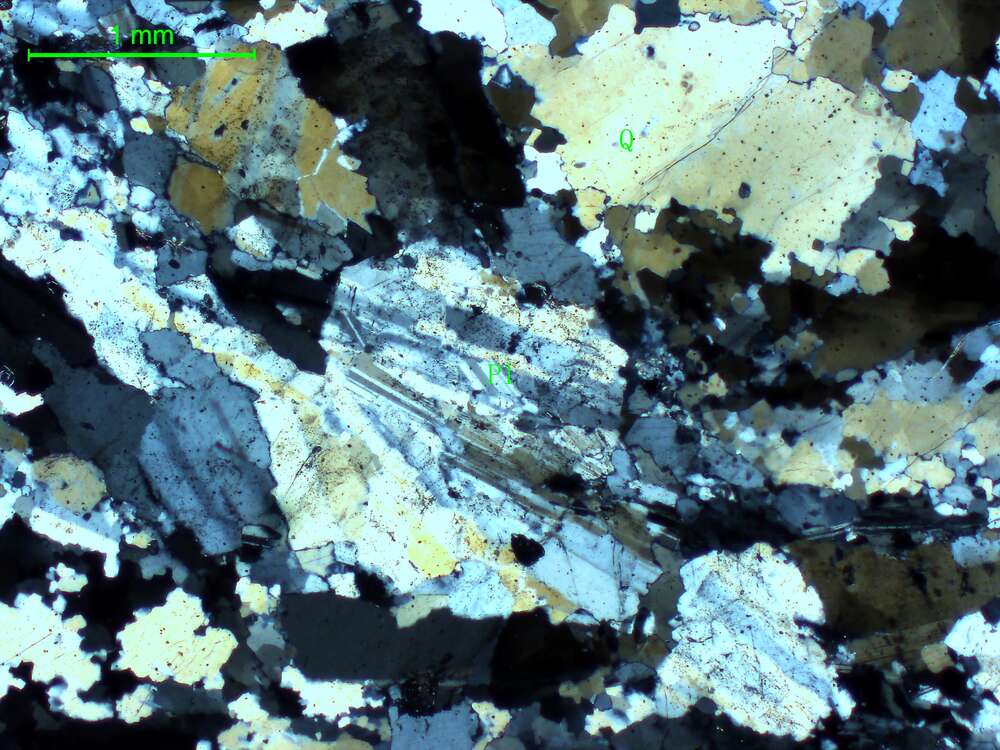 片理化斜长花岗岩
