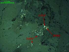 闪锌矿、黄铜矿、毒砂、方铅矿