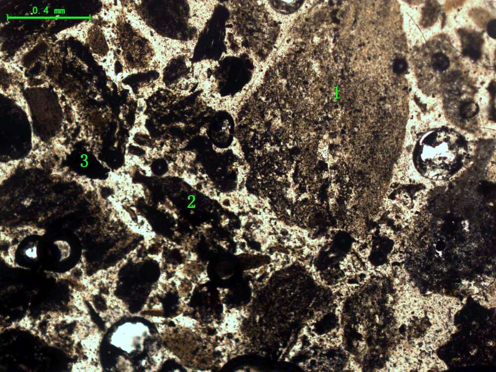 气化炉渣组分形态