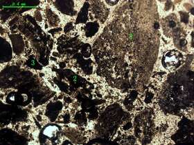 气化炉渣组分形态