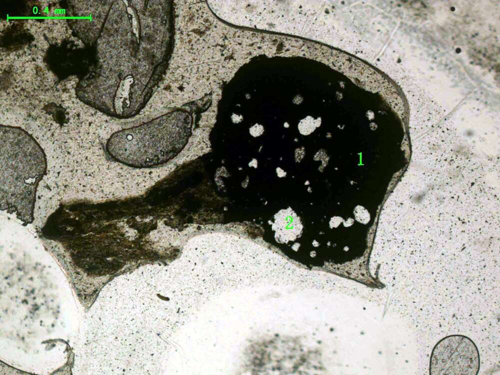 气化炉渣组分形态