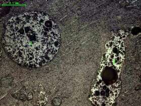 气化炉渣组分形态