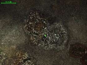 气化炉渣组分形态