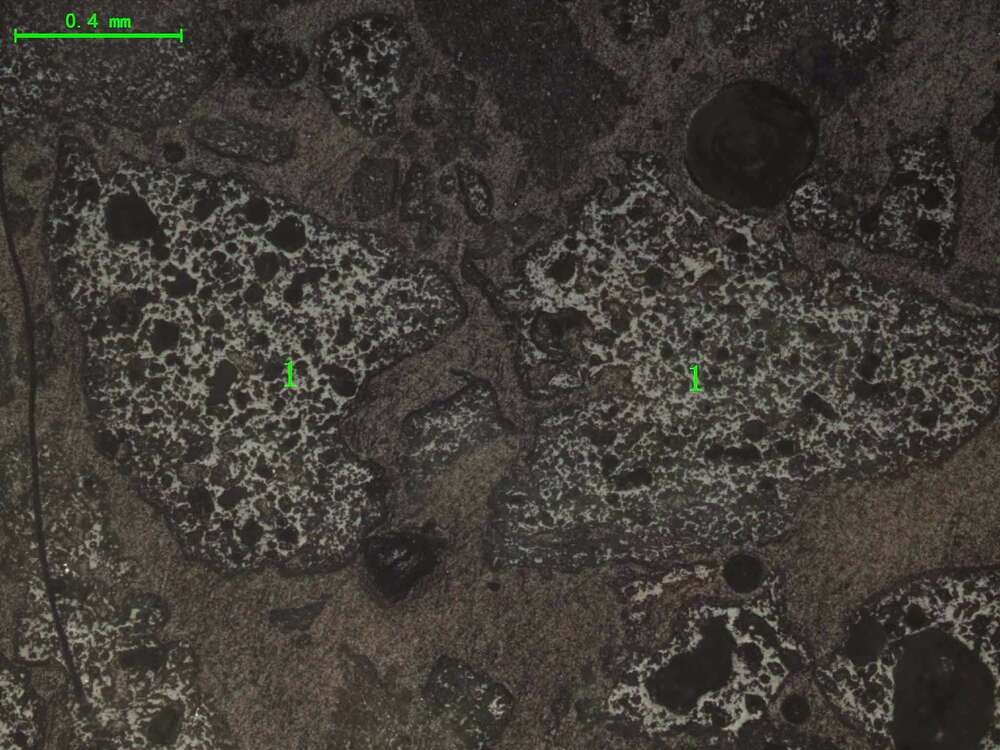 气化炉渣组分形态