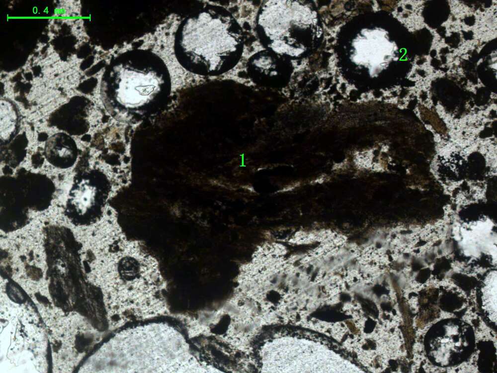 气化炉渣组分形态