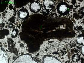 气化炉渣组分形态
