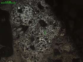 气化炉渣组分形态