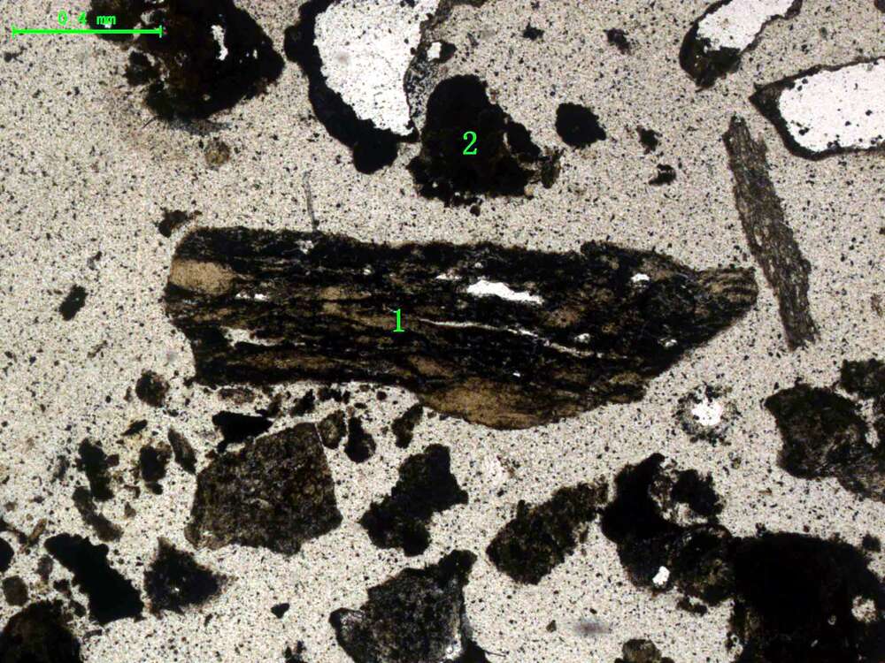 气化炉渣组分形态