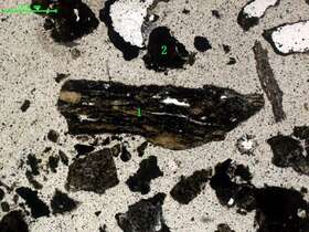 气化炉渣组分形态