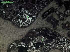 气化炉渣组分形态