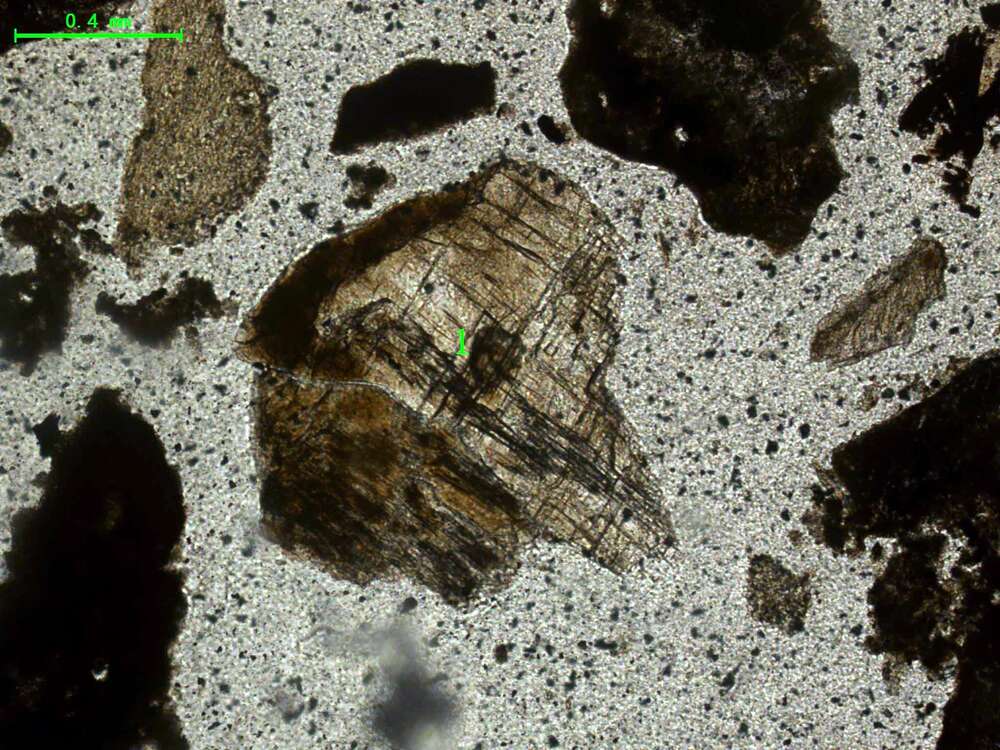 气化炉渣组分形态