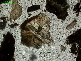 气化炉渣组分形态
