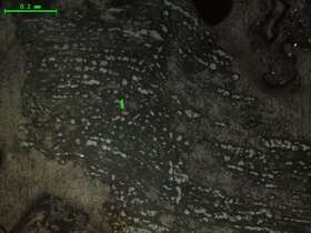 气化炉渣组分形态