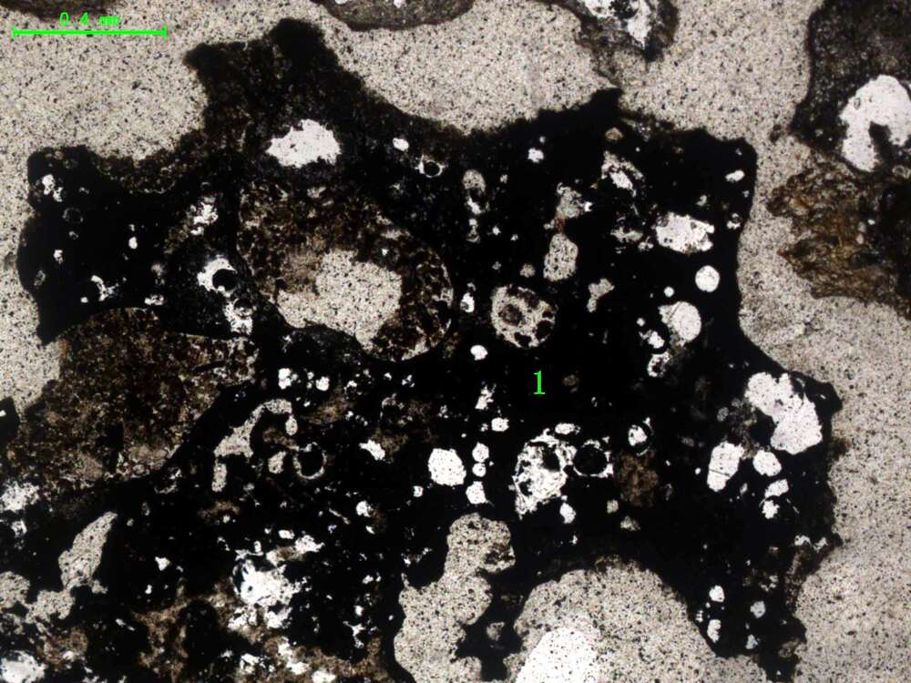气化炉渣组分形态