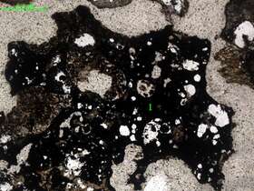 气化炉渣组分形态