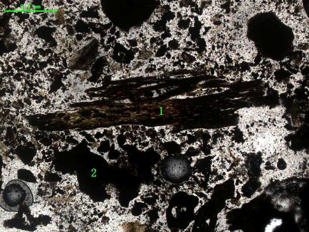 气化炉渣组分形态