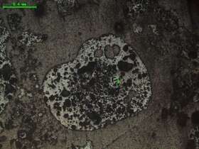 气化炉渣组分形态