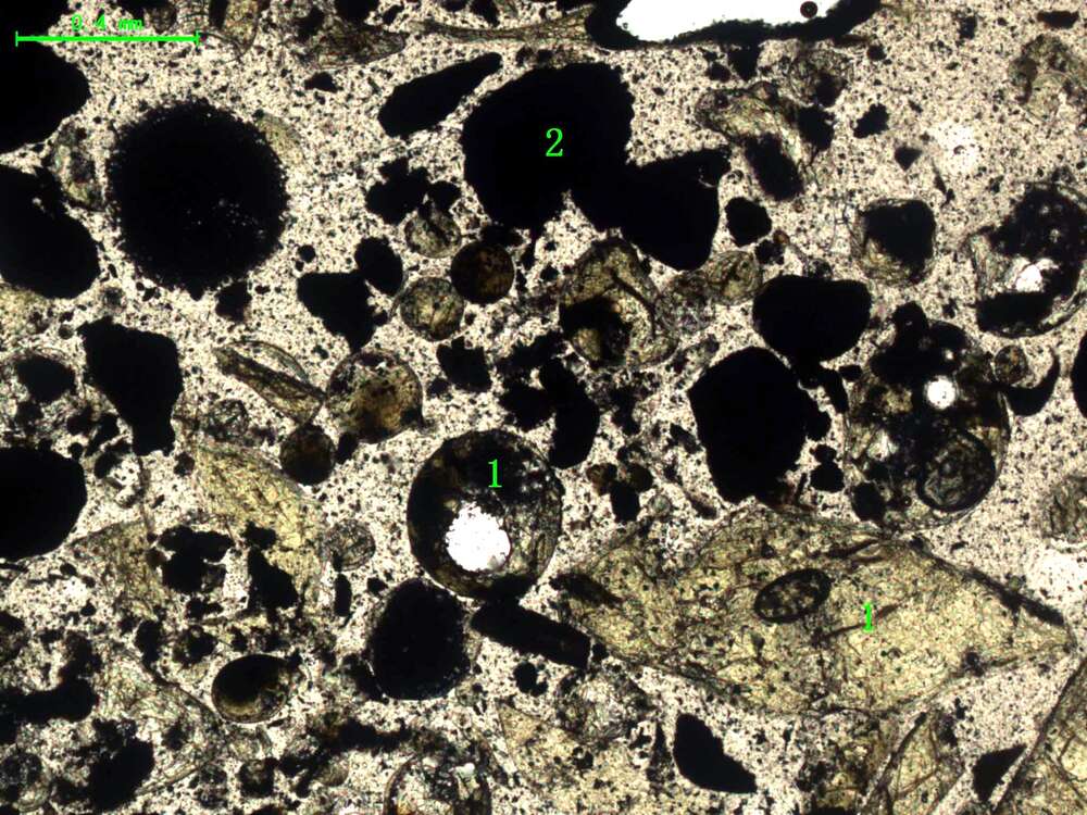 气化炉渣组分形态