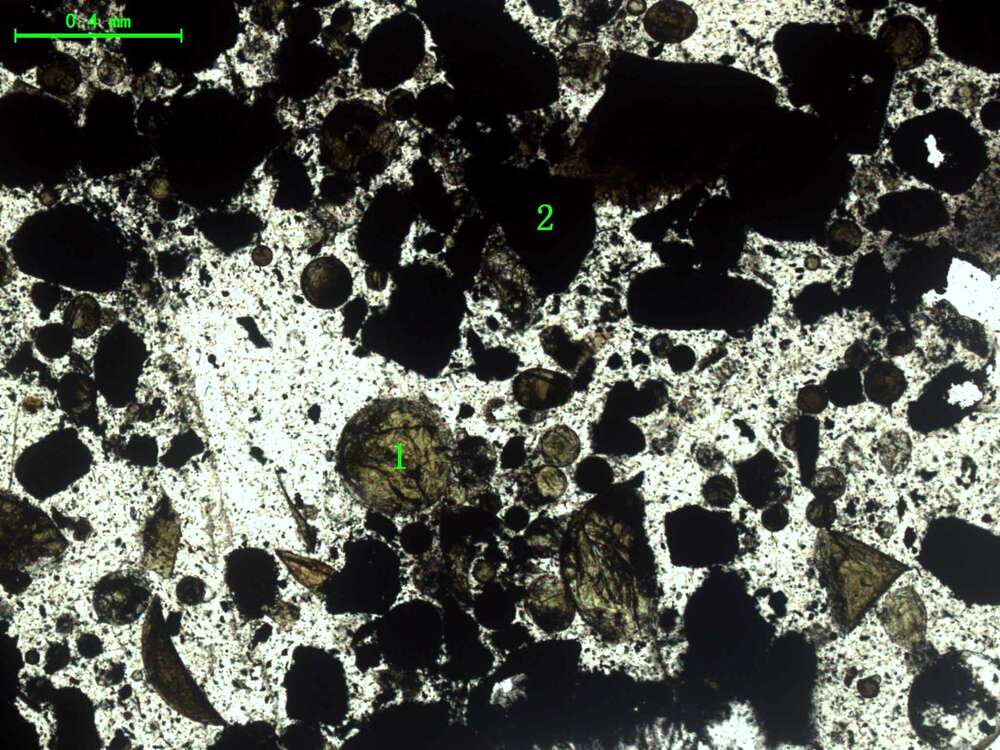 气化炉渣组分形态