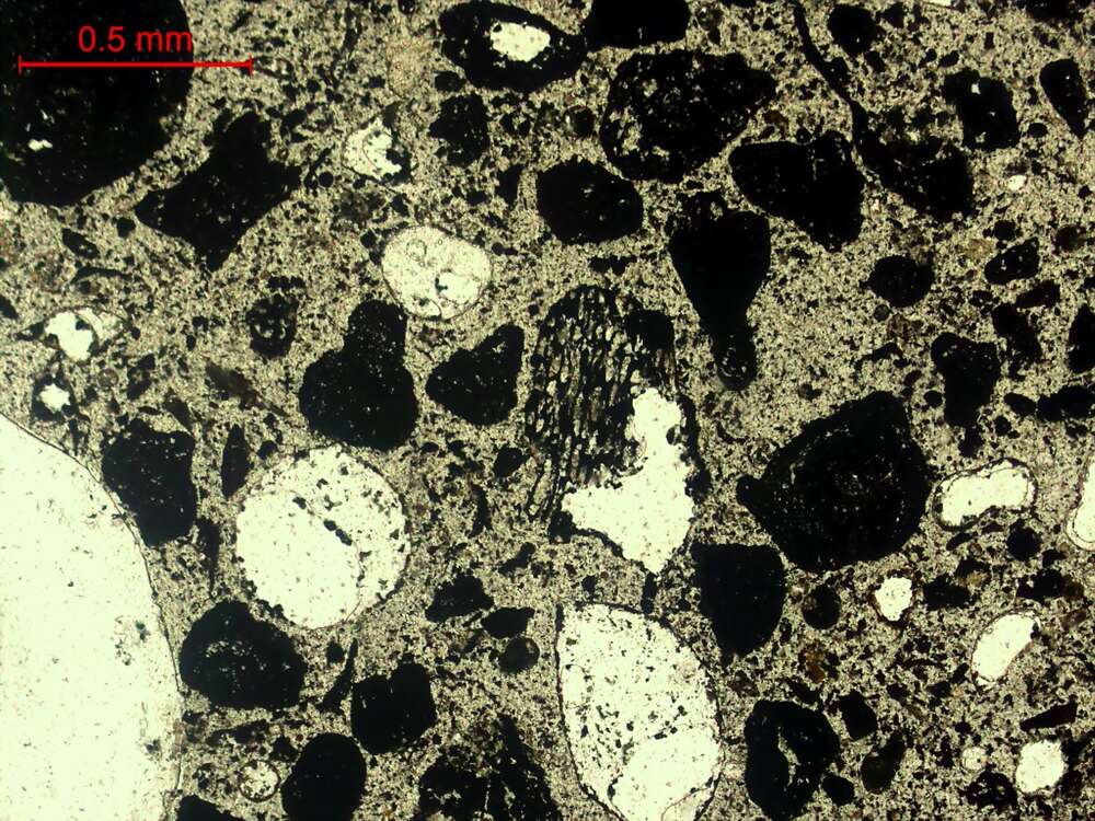 气化炉渣组分形态