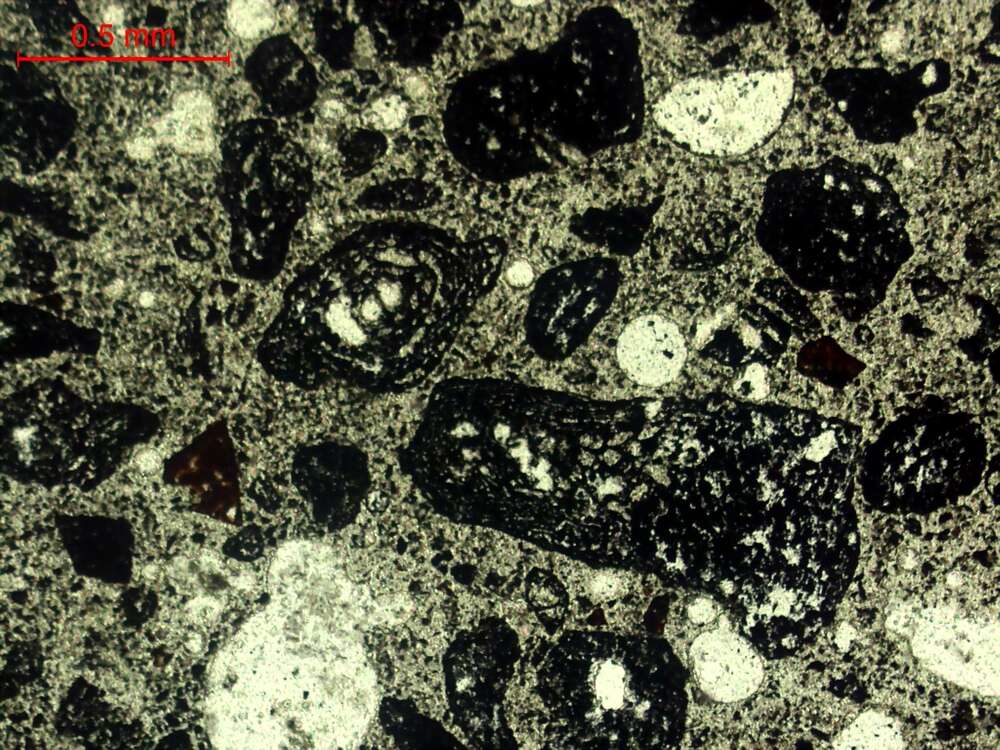 气化炉渣组分形态